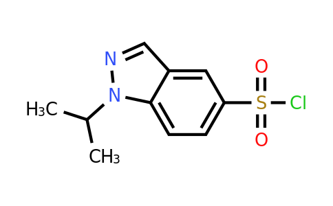 CAS 1339217-64-9 | 1-(propan-2-yl)-1H-indazole-5-sulfonyl chloride