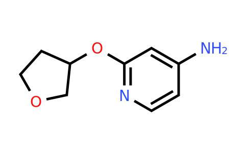 CAS 1339933-64-0 | 2-(oxolan-3-yloxy)pyridin-4-amine