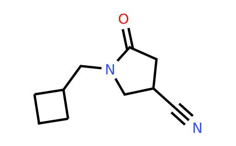 CAS 1340167-38-5 | 1-(cyclobutylmethyl)-5-oxopyrrolidine-3-carbonitrile