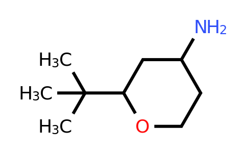 CAS 1340194-27-5 | 2-tert-butyloxan-4-amine