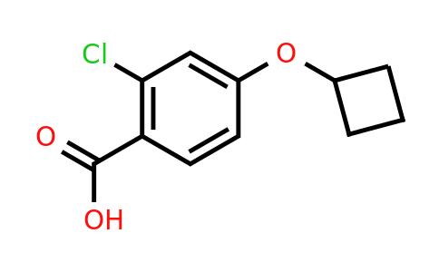 CAS 1341286-03-0 | 2-chloro-4-cyclobutoxybenzoic acid
