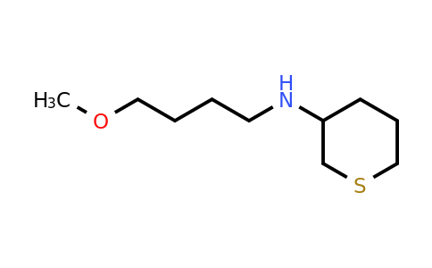 CAS 1341478-94-1 | N-(4-methoxybutyl)thian-3-amine