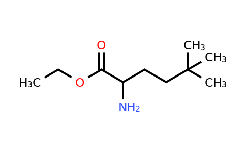 CAS 1341792-94-6 | ethyl 2-amino-5,5-dimethylhexanoate