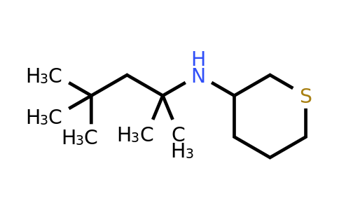 CAS 1341848-96-1 | N-(2,4,4-trimethylpentan-2-yl)thian-3-amine