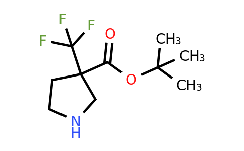 CAS 1342482-41-0 | tert-butyl 3-(trifluoromethyl)pyrrolidine-3-carboxylate