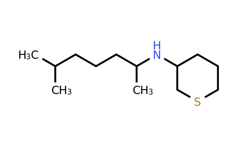 CAS 1342619-50-4 | N-(6-methylheptan-2-yl)thian-3-amine