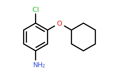 CAS 1342664-08-7 | 4-Chloro-3-(cyclohexyloxy)aniline