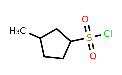 CAS 1342745-21-4 | 3-methylcyclopentane-1-sulfonyl chloride