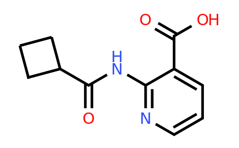 CAS 1342989-24-5 | 2-cyclobutaneamidopyridine-3-carboxylic acid