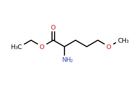 CAS 1343056-65-4 | ethyl 2-amino-5-methoxypentanoate