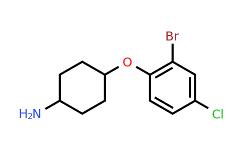 CAS 1343159-83-0 | 4-(2-bromo-4-chlorophenoxy)cyclohexan-1-amine