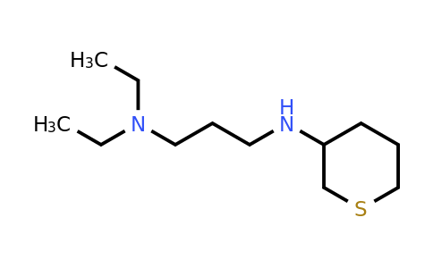 CAS 1343696-16-1 | N-[3-(diethylamino)propyl]thian-3-amine