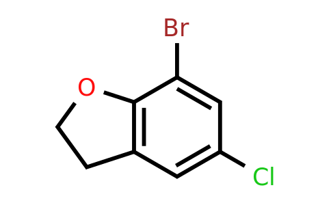 CAS 134402-21-4 | 7-bromo-5-chloro-2,3-dihydrobenzofuran