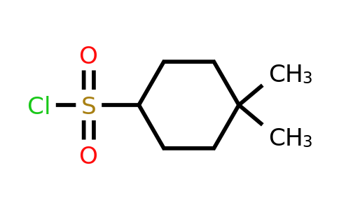 CAS 1344070-27-4 | 4,4-dimethylcyclohexane-1-sulfonyl chloride