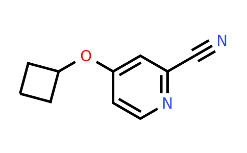 CAS 1344306-63-3 | 4-cyclobutoxypyridine-2-carbonitrile