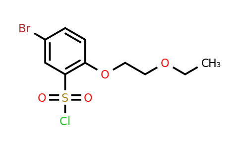 CAS 1344360-41-3 | 5-bromo-2-(2-ethoxyethoxy)benzene-1-sulfonyl chloride