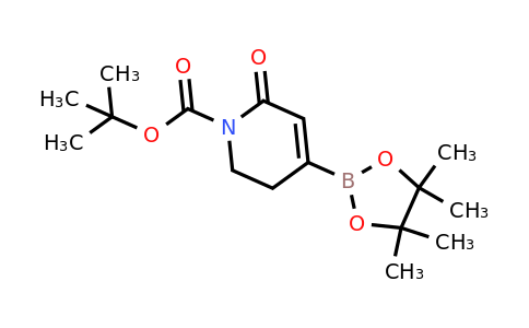 CAS 1345469-26-2 | tert-butyl 6-oxo-4-(tetramethyl-1,3,2-dioxaborolan-2-yl)-1,2,3,6-tetrahydropyridine-1-carboxylate