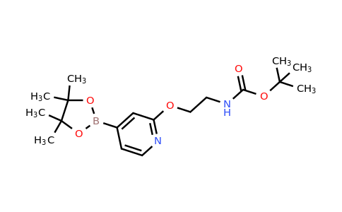 CAS 1346697-27-5 | tert-Butyl (2-((4-(4,4,5,5-tetramethyl-1,3,2-dioxaborolan-2-yl)pyridin-2-yl)oxy)ethyl)carbamate