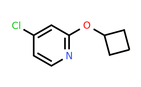 CAS 1346706-99-7 | 4-Chloro-2-cyclobutoxypyridine