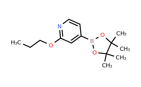 CAS 1346707-85-4 | 2-(N-Propoxy)pyridine-4-boronic acid pinacol ester