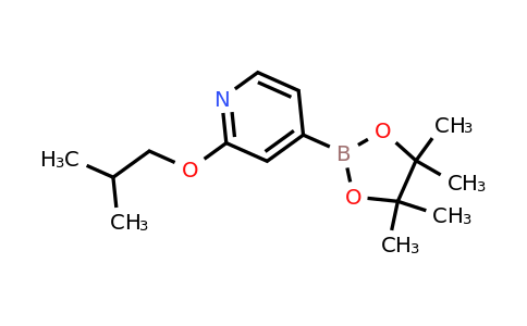 CAS 1346707-87-6 | 2-(Isobutoxy)pyridine-4-boronic acid pinacol ester