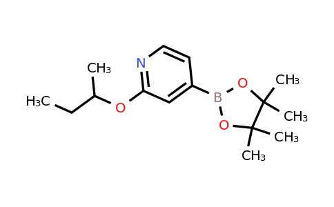 CAS 1346707-88-7 | 2-Sec-butoxy-4-(4,4,5,5-tetramethyl-1,3,2-dioxaborolan-2-YL)pyridine