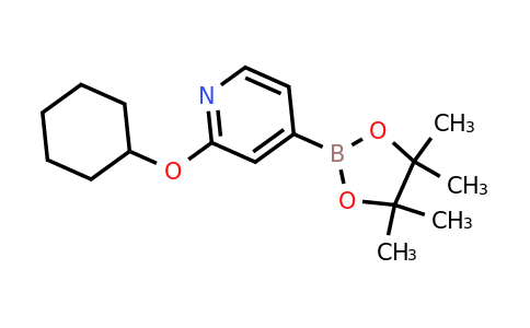 CAS 1346707-98-9 | 2-(Cyclohexyloxy)pyridine-4-boronic acid pinacol ester