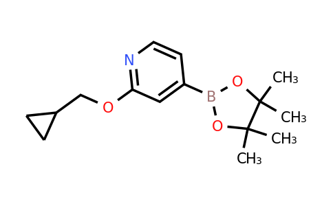 CAS 1346707-99-0 | 2-(Cyclopropylmethoxy)-4-(4,4,5,5-tetramethyl-1,3,2-dioxaborolan-2-YL)pyridine