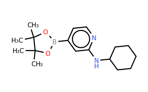 CAS 1346808-50-1 | N-cyclohexyl-4-(4,4,5,5-tetramethyl-1,3,2-dioxaborolan-2-YL)pyridin-2-amine