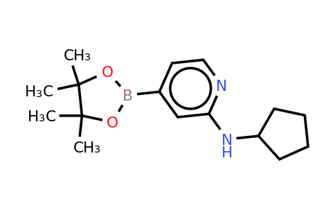 CAS 1346808-54-5 | N-cyclopentyl-4-(4,4,5,5-tetramethyl-1,3,2-dioxaborolan-2-YL)pyridin-2-amine