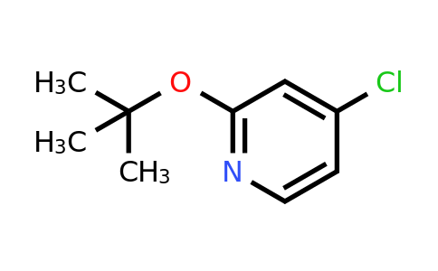 CAS 1346809-06-0 | 2-(tert-Butoxy)-4-chloropyridine