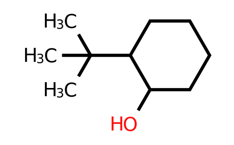 CAS 13491-79-7 | 2-tert-butylcyclohexan-1-ol