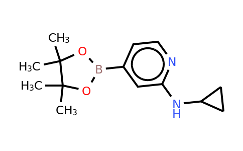 CAS 1350918-92-1 | N-cyclopropyl-4-(4,4,5,5-tetramethyl-1,3,2-dioxaborolan-2-YL)pyridin-2-amine