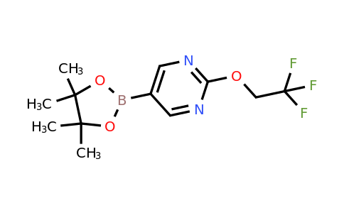CAS 1351234-12-2 | 5-(4,4,5,5-Tetramethyl-1,3,2-dioxaborolan-2-yl)-2-(2,2,2-trifluoroethoxy)pyrimidine