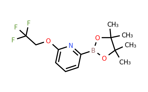 CAS 1351240-19-1 | 2-(4,4,5,5-Tetramethyl-1,3,2-dioxaborolan-2-YL)-6-(2,2,2-trifluoroethoxy)pyridine