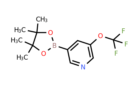 CAS 1351380-32-9 | 3-(4,4,5,5-tetramethyl-1,3,2-dioxaborolan-2-yl)-5-(trifluoromethoxy)pyridine