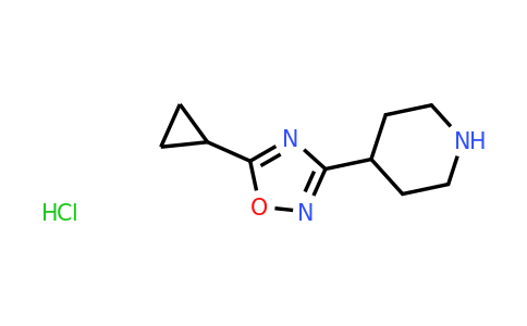 CAS 1351499-81-4 | 4-(5-cyclopropyl-1,2,4-oxadiazol-3-yl)piperidine hydrochloride