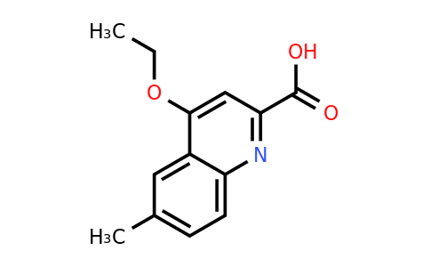 CAS 1351771-17-9 | 4-Ethoxy-6-methylquinoline-2-carboxylic acid
