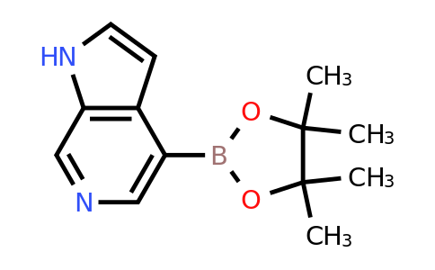 6-Azaindole-4-boronic acid pinacol ester