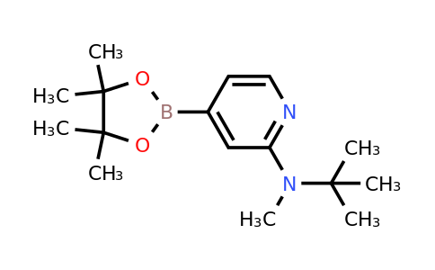 CAS 1352757-01-7 | N-(tert-Butyl)-N-methyl-4-(4,4,5,5-tetramethyl-1,3,2-dioxaborolan-2-yl)pyridin-2-amine