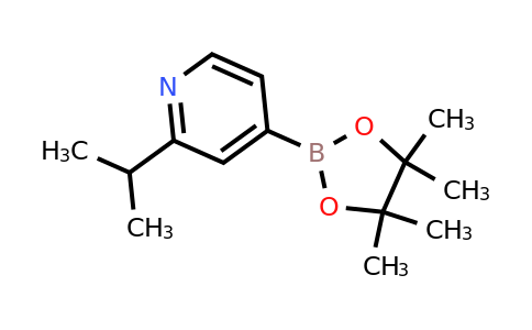 CAS 1352796-58-7 | 2-(Isopropyl)pyridine-4-boronic acid pinacol ester