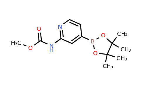 CAS 1353004-64-4 | 2-((Methoxycarbonyl)amino)pyridine-4-boronic acid pinacol ester