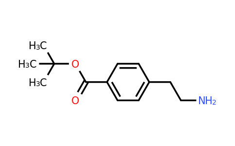 CAS 135482-70-1 | 4-(2-Aminoethyl)benzoic acid tert-butyl ester