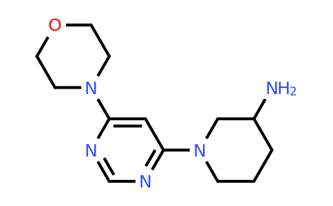 CAS 1354963-45-3 | 1-[6-(Morpholin-4-yl)pyrimidin-4-yl]piperidin-3-amine