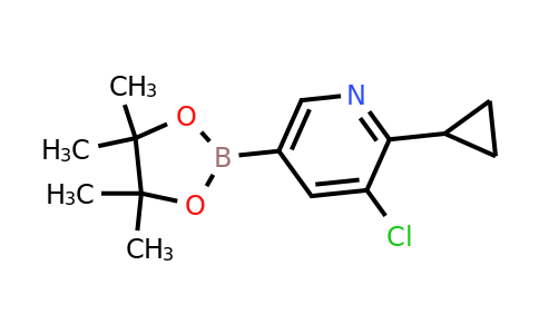 CAS 1355067-20-7 | 3-Chloro-2-cyclopropyl-5-(4,4,5,5-tetramethyl-1,3,2-dioxaborolan-2-yl)pyridine