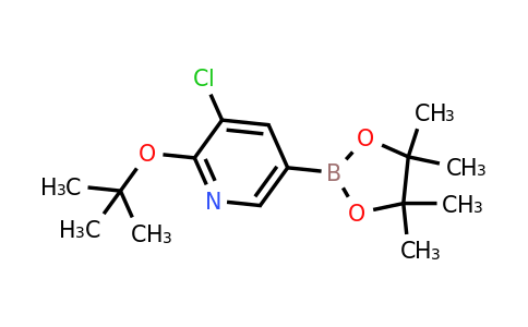 CAS 1355068-15-3 | 2-Tert-butoxy-3-chloro-5-(4,4,5,5-tetramethyl-1,3,2-dioxaborolan-2-YL)pyridine