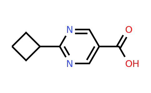 CAS 1355171-56-0 | 2-Cyclobutylpyrimidine-5-carboxylic acid