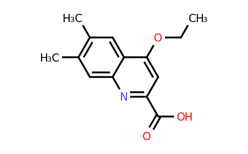 CAS 1355196-23-4 | 4-Ethoxy-6,7-dimethylquinoline-2-carboxylic acid