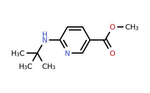 CAS 1355204-42-0 | Methyl 6-(tert-butylamino)nicotinate