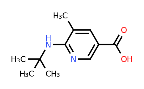 CAS 1355206-71-1 | 6-(tert-Butylamino)-5-methylnicotinic acid